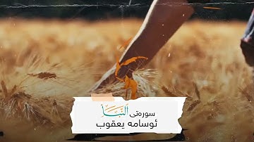 تلاوة   جميل جدا أداء رائع جدا مقام نهاوند و مقام حجاز بصوت القارئ اسامة يعقوب الكردي