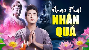 Đừng Có Khinh Ai – Nhạc Phật Giáo Về Nhân Quả Khiến Người Nghe Suy Ngẫm Sâu Xa | Ân Thiên Vỹ