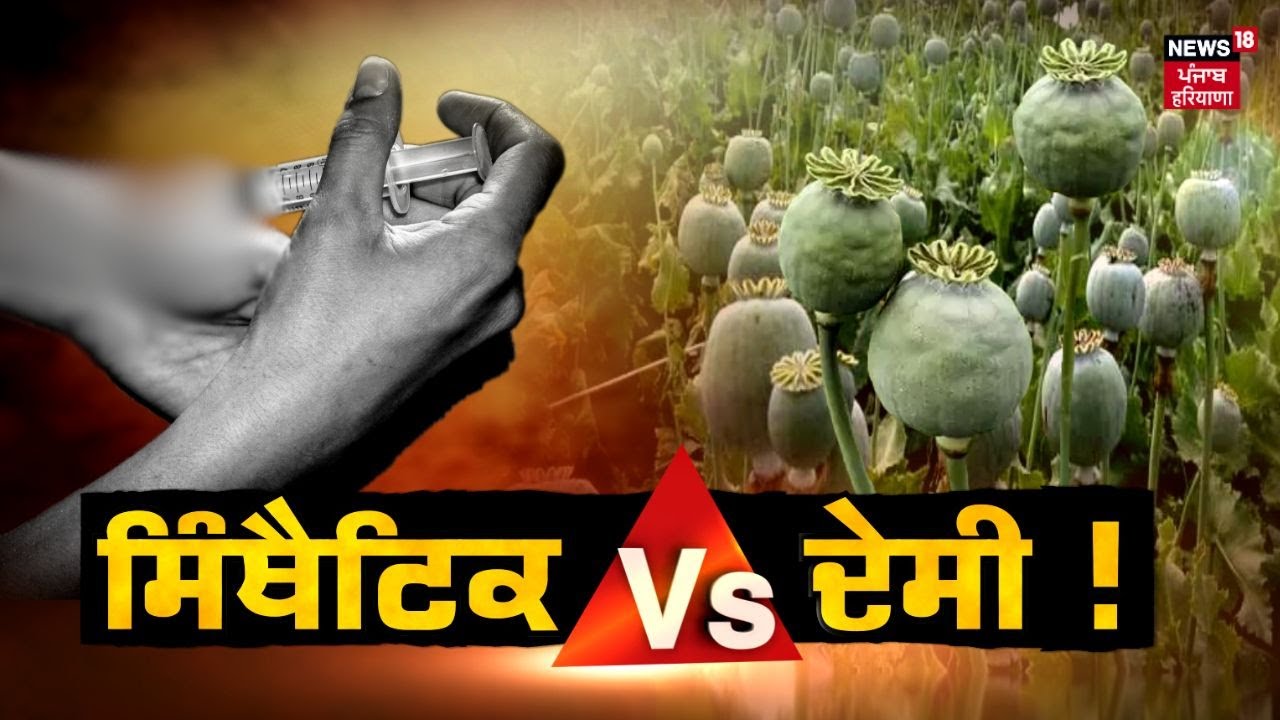 Khaban Da Prime Time | ਕੀ ਪੰਜਾਬ 'ਚ ਹੋਣੀ ਚਾਹੀਦੀ ਹੈ ਰਿਵਾਇਤੀ ਨਸ਼ਿਆਂ ਦੀ ਖੇਤੀ? Opium Farming | News18