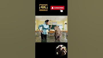 Minh béo chơi xấu đổ tội cho Capy biến lớp học thành hồ bơi và cái kết 🤣🤣 #viral #capybara