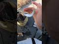 釣った小魚を泳がせたら。。#釣り #fish #fishing #沖縄 #vlog #社畜