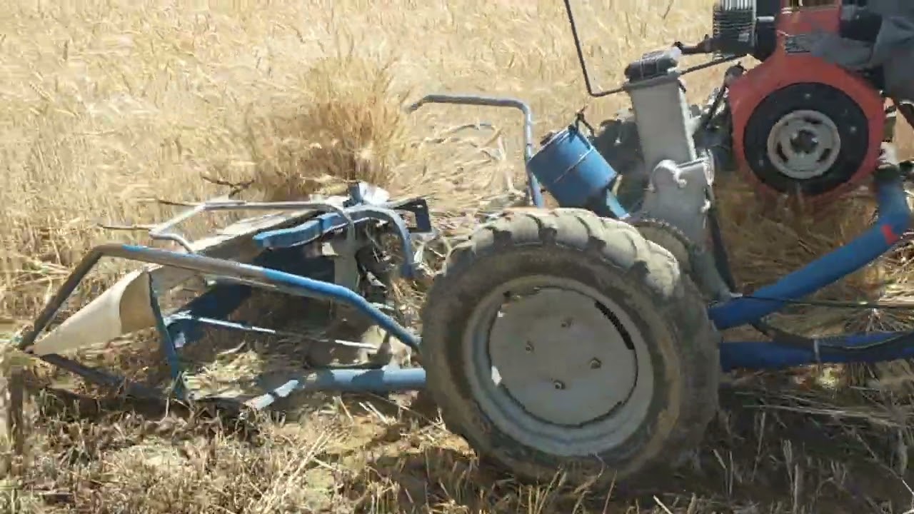 Wheat Cutting machine For land Technology😍