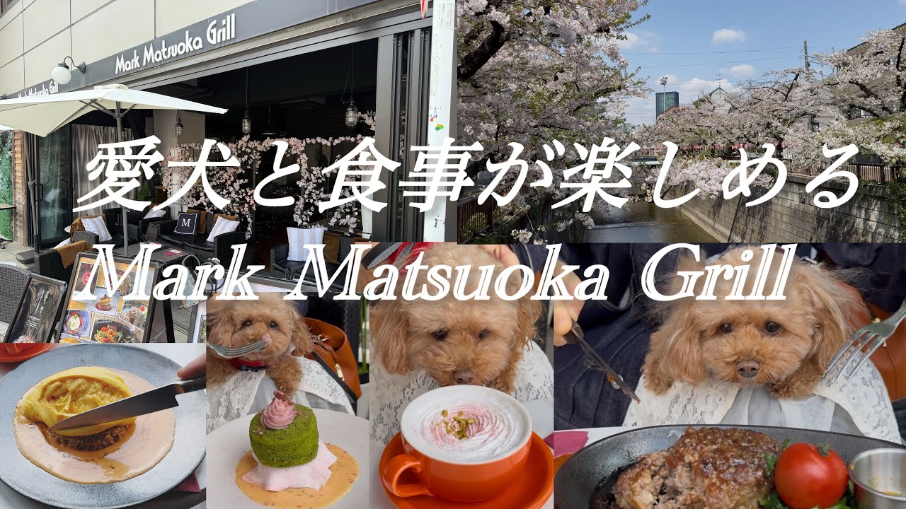 愛犬と食事が楽しめる　Mark Matsuoka Grill 中目黒　目黒川沿い