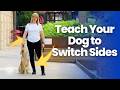 How to Make Your Dog Switch Sides on Walks | AKC Training Tips