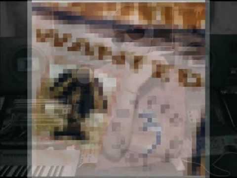 Sanwali Saloni Teri (DFlex rmx.) Fed Up 3
