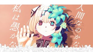 Lilium