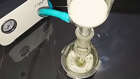 Making The Astringent Calcium Chloride (CaCl2)