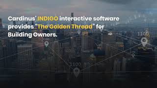 Cardinus' INDIGO Golden Thread Interactive Software