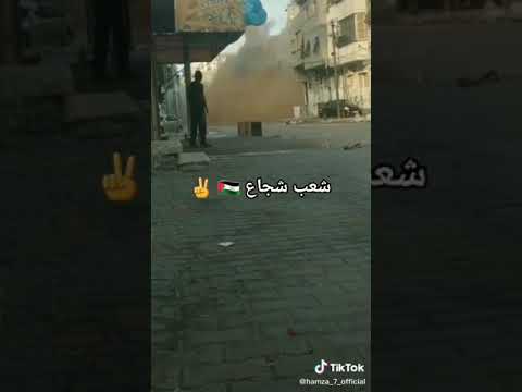 وامرق على غزة بنحب نقول للصاروخ العدو طز محمد عساف أنقذوا حي الشيخ جراح غزة تحت القصف غزة تقاوم