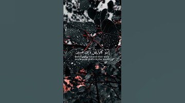 القارئ طارق محمد || إن المتقين في جناتٍ وعيون🤍🎧