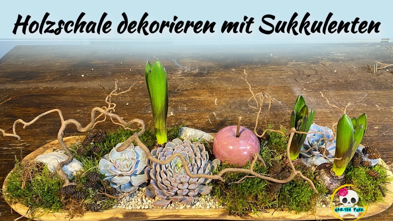 Holzschale dekorieren mit Sukkulenten ( Frühlingsdeko selber machen )