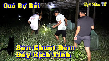 Săn Bắt Chuột, Bắt Ếch Mùa Nước Nổi Miền Tây Đầy Kịch Tính, Nồi Cháo Thập Cẩm Siêu Ngon/NGÃ NĂM TV