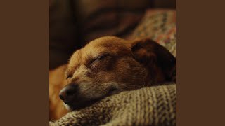 Evening Rest Canine Harmony