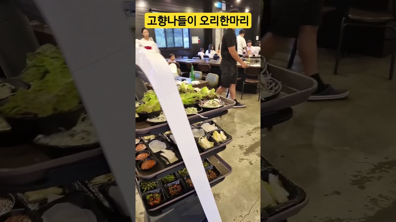 고향나들이 오리한마리