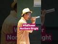 【Northern Bright】Wildflower、を唄う。