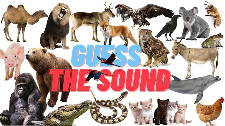 Guess the Sound | 30 Animal Sounds Quiz | Wildlife Trivia