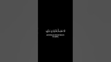 كروما شاشة سوداء قرآن كريم 🍀 ياسر الدوسري 🍀 سورة يوسف  #اكسبلور #تلاوة_هادئة #yasseraldossary