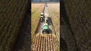 JOHN DEERE 8500i beim Mais häckseln