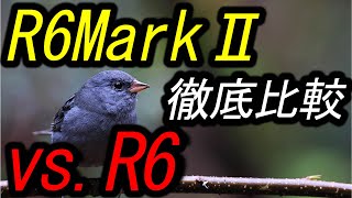 R6MarkⅡvs.R6、徹底比較。