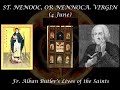 St. Nenooc, Virgin (4 June): Butler&#39;s Lives of the Saints