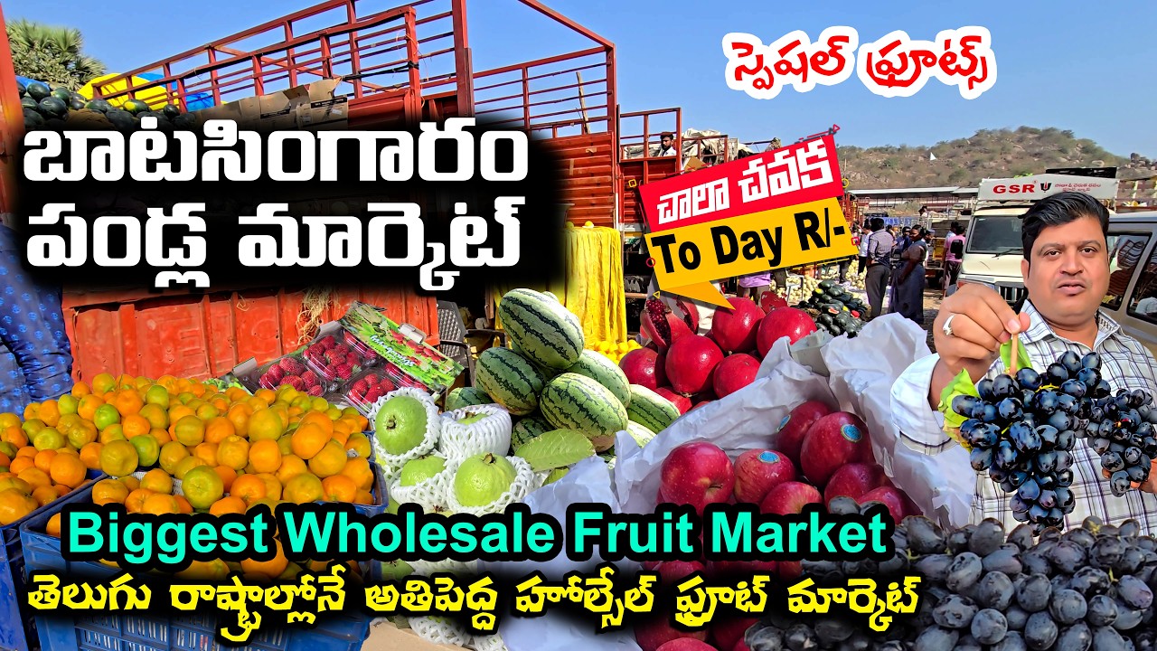 Batasingaram Fruit Market 🥭 | Today Fresh Fruit Wholesale Prices