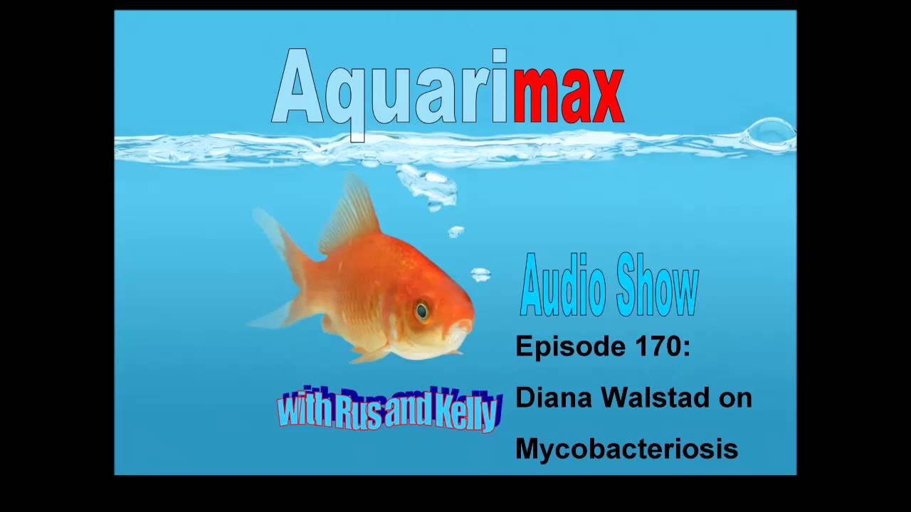 Interview with Diana Walstad: Mycobacterium - YouTube