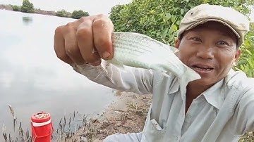 Chia sẻ Điểm câu mới/ Đùng Mỹ Xuân Bà Rịa vũng Tàu/@Dammecauca1