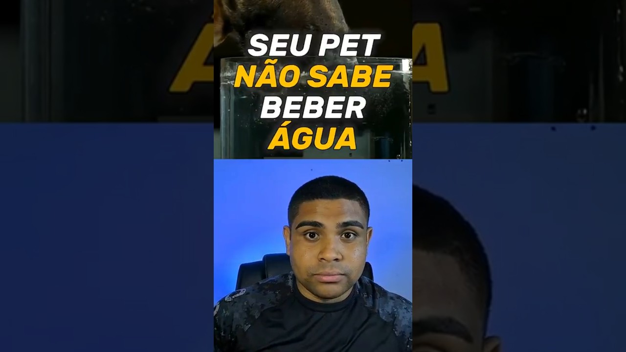 O SEU CACHORRO NÃO SABE BEBER ÁGUA!