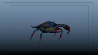 Crab Walk Cycle, Attack and Death Animations