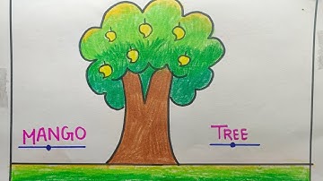 Mango Tree Drawing Easy Step By Step / Mango Tree Drawing / MangoTree School Project /Mango Drawing