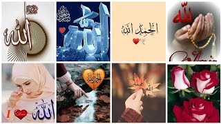 Islamic Dp|ALLAH Name Dp|Islamic Wallpapers|New Islamic image's|Calligraphy|Muslims Girl's Dp|Dp