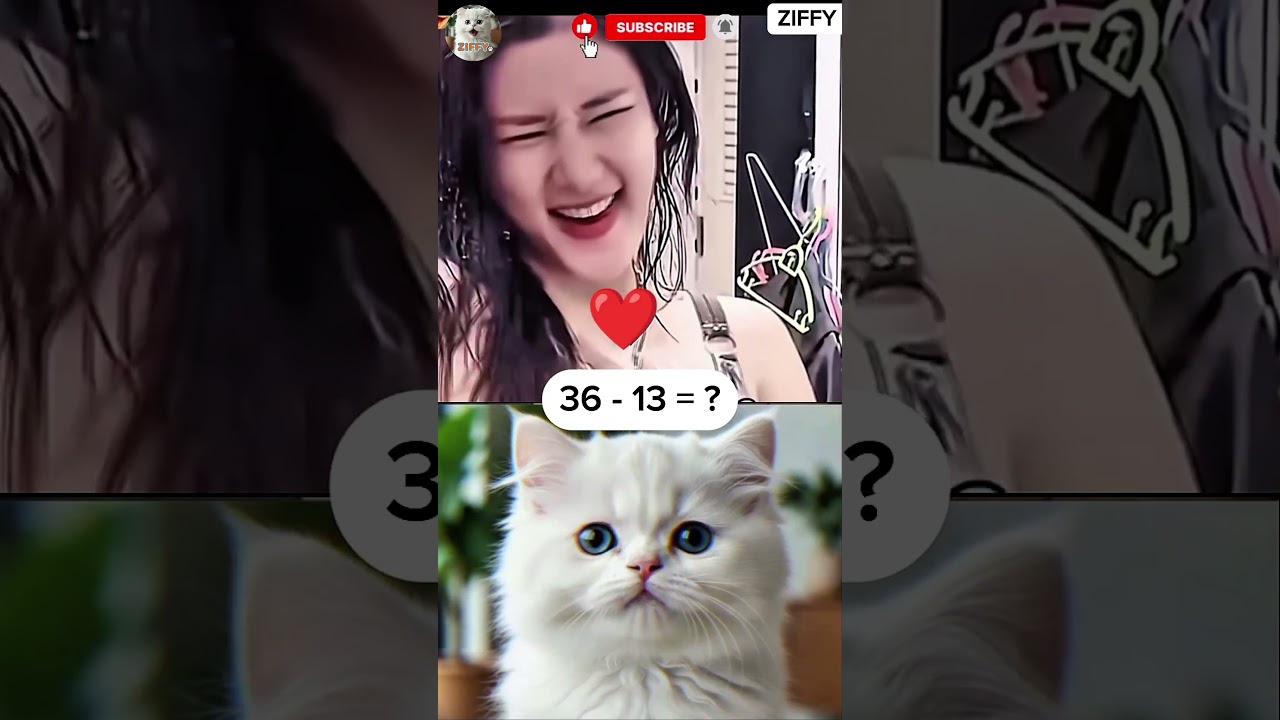 Crazy Cat Reactions 😹 | Hilarious Funny Cats