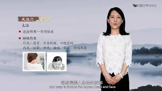 5.3 足少阳胆经