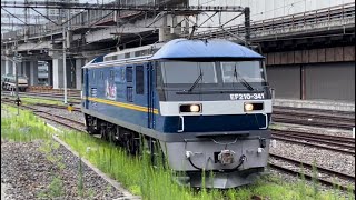 【EH500-32,EH800-2のOM出場に伴う牽引機単機送り込み回送】JR貨物EF210形300番台341号機が大宮駅（13）に到着するシーン（単8283レ）2022.8.4