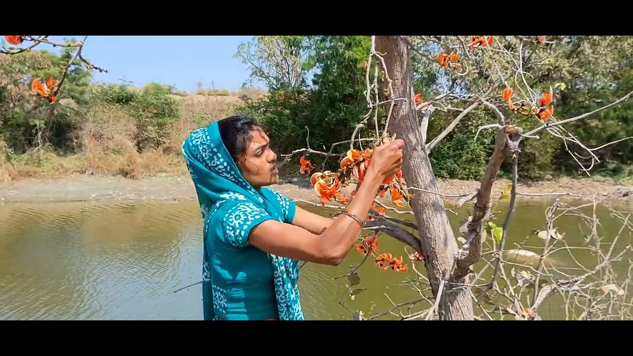 કેસુડોના રંગની વાત જ અલગ હોય છે | ધૂળેટી 2026  કેસૂડના રંગે ધૂળેટી રમવાની મજા અને સાથે શરીરને લાભ પણ