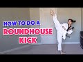 How to roundhouse kick  martial arts for beginners