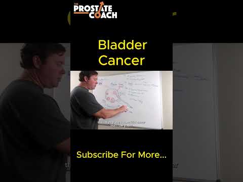 Bladder Cancer Basics