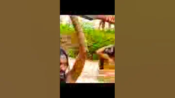 Yaa Jaal Marroo Dirribaa 