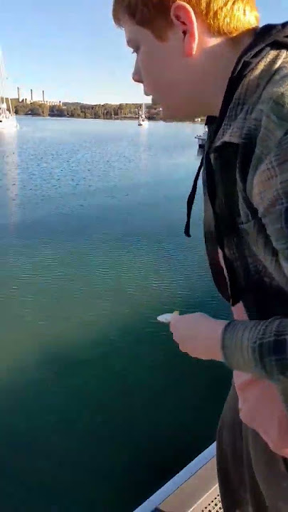 good bye my friend 😢