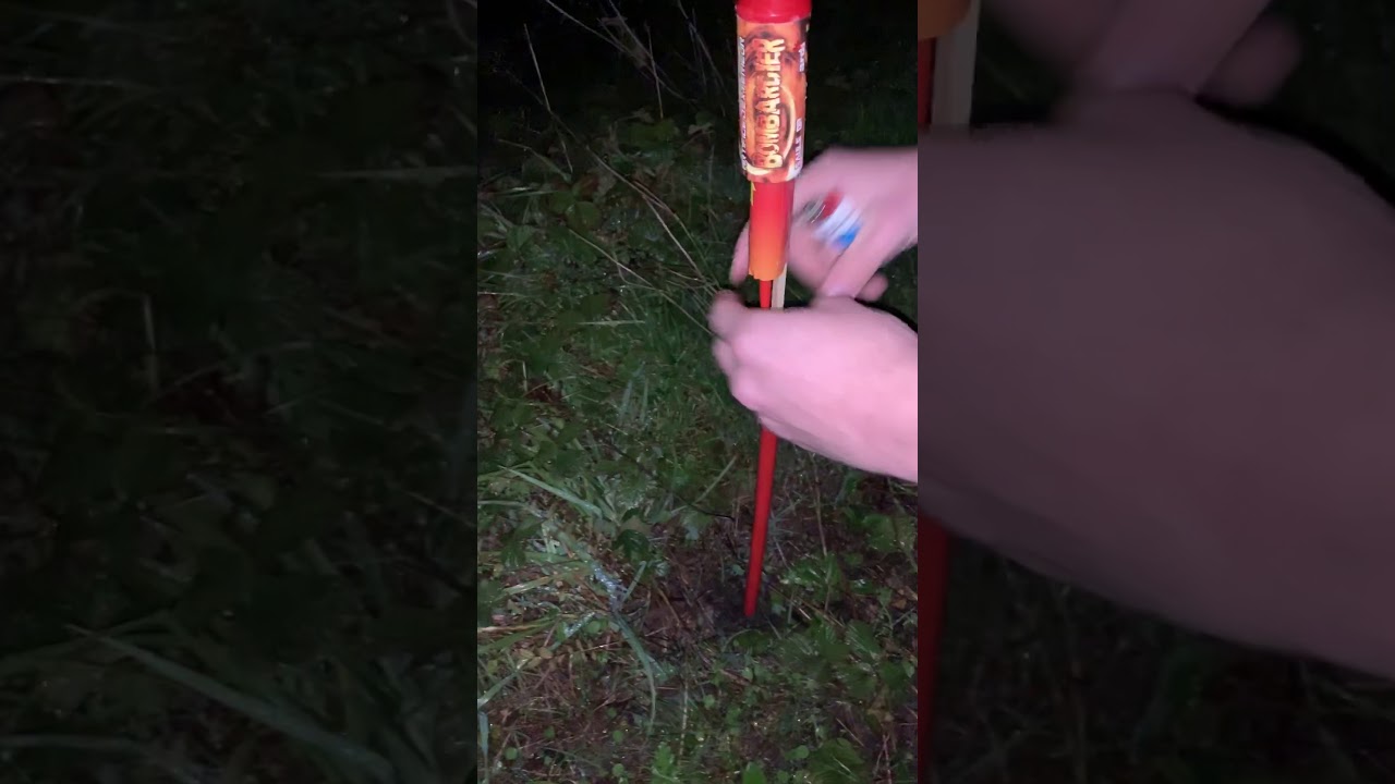 Fusée Bombardier Saule Or