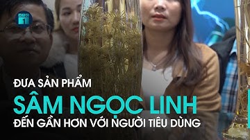 Đưa sản phẩm Sâm Ngọc Linh đến gần hơn với người tiêu dùng | VTC1
