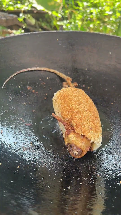 Have you ever eaten rat wrapped rice? |Chinese Mountain Forest Life and Food #Moo TikTok#FYP