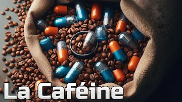 Quelle est la composition de la molécule de caféine ?