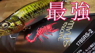 ビッグベイトタックル】秋シーバス用に最強パワーのワールドシャウラ
