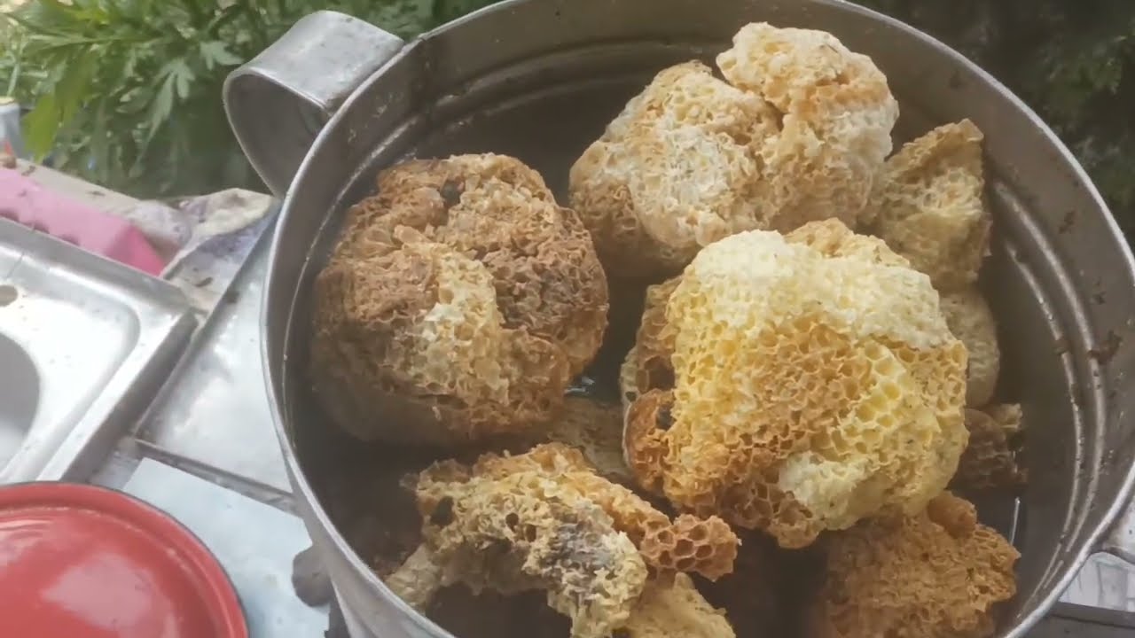 Ep.97: Topirea Cerii de albine fara Topitor