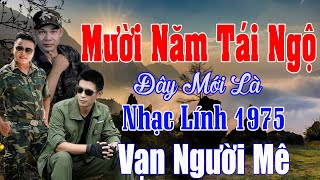 Mười Năm Tái Ngộ, Cô Hàng Xóm - Công Tuấn .LK Rumba Hải Ngoại Vượt Thời Gian, Đắm Say Bao Thế Hệ