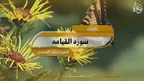 سوره القيامه الشيخ رشاد القدسي