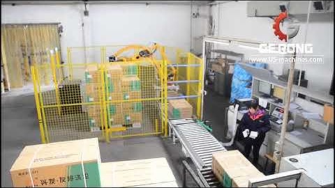 Robot hand box palletizing machine automatic case palletizing line