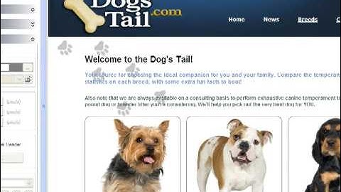Add Google AdSense With XSitePro Website Design Software