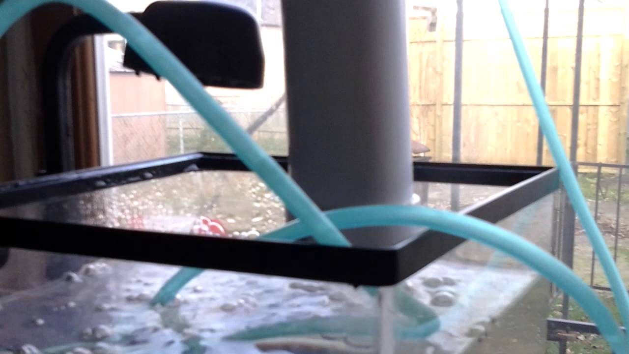 Solar aquaculture project update air lift pump YouTube